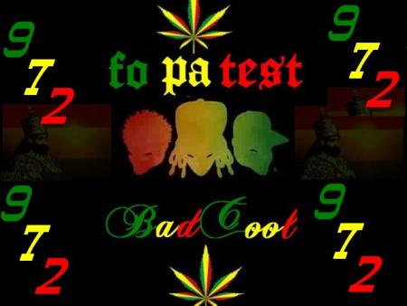 madinina repr&eacute;sente